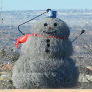 2011 second tumbleweed snowman