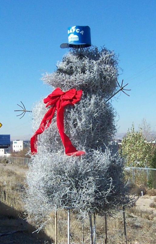 2006 Tumbleweed Snowman