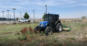 Mowing Las Ventanas 6.9.2021