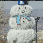 Tumbleweed Snowman 2024